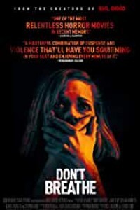 Dont Breathe (2016) English Movie